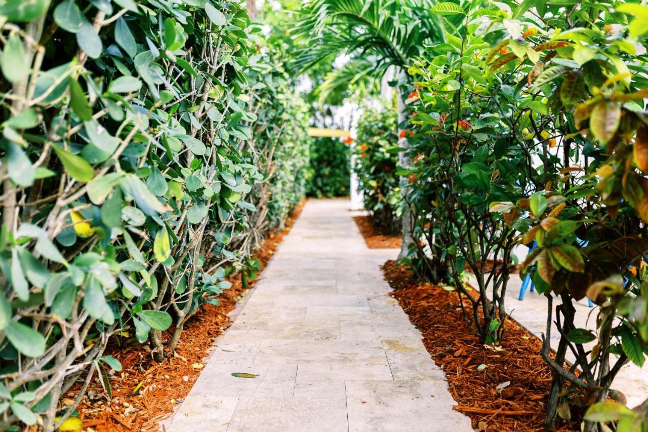 Casa Cordova Apartment Fort Lauderdale Ngoại thất bức ảnh